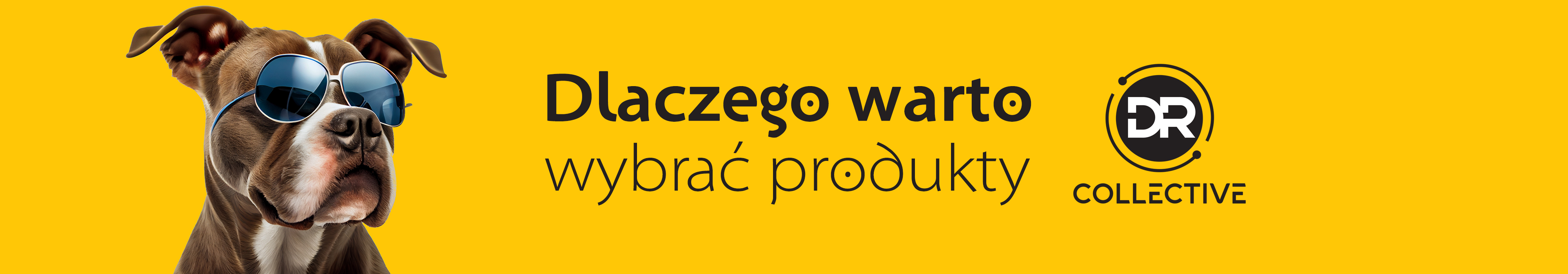 baner-dlaczego-warto