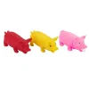 Gumowa zabawka dla psa piszcząca świnka gryzak 15cm 2946
