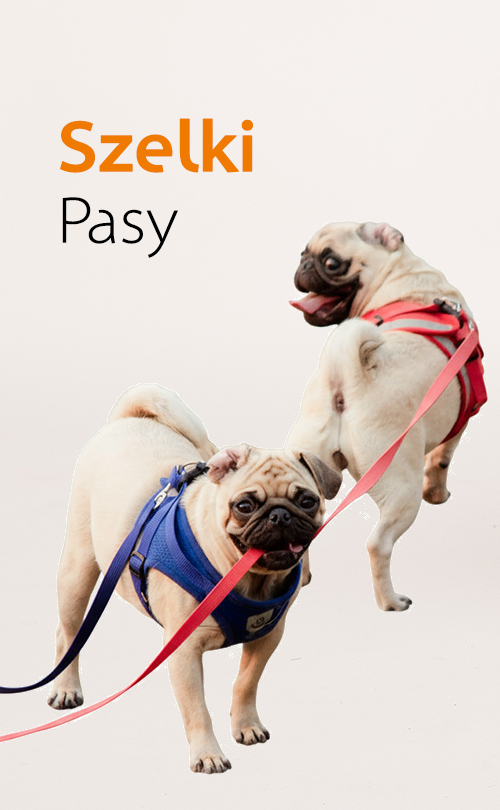 SZELKI / PASY
